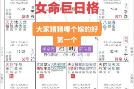 紫薇斗数命主什么意思