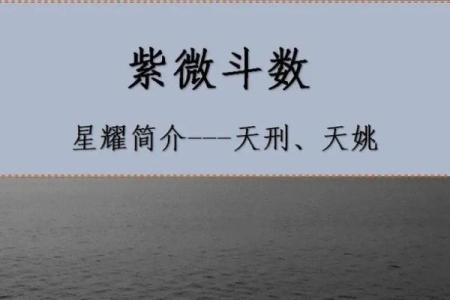 紫微斗数官禄宫天姚