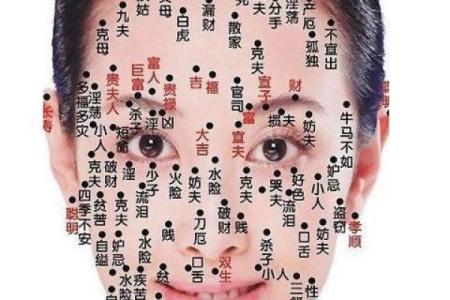 额头胎记算命图解