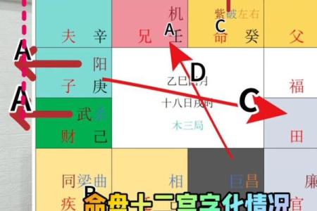 紫薇斗数手工排盘视频