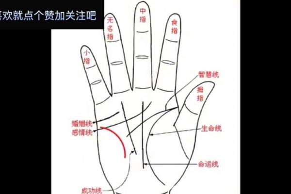 图解：手相纵欲线算命