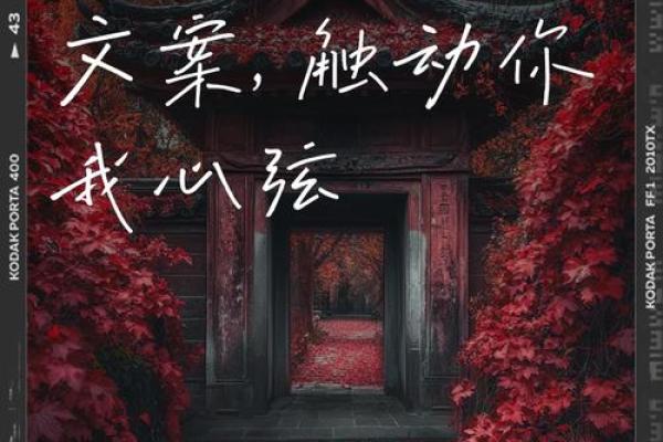 缘分测试男朋友文案图片 缘分测试一下？