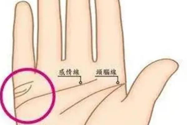 女性手掌纹算命图解婚姻