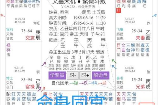 紫薇斗数龙池入命