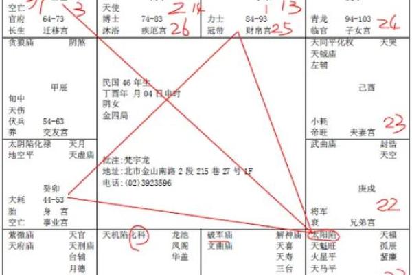 紫薇斗数龙池入命