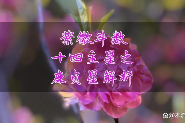 紫微斗数之兄弟宫与诸星,廉贞星在兄弟宫是什么意思？