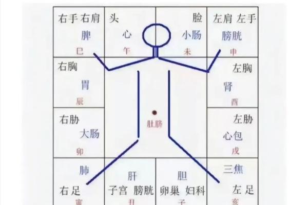 紫薇斗数四马宫