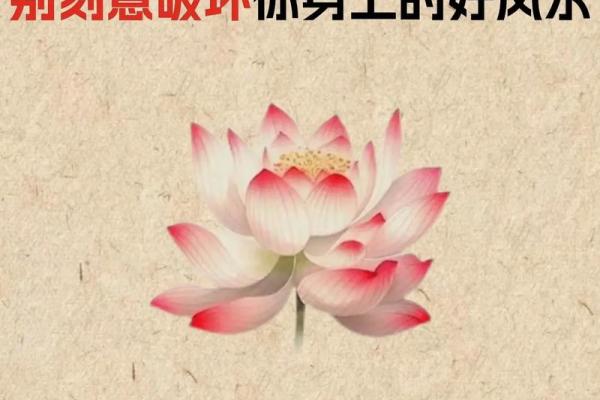 千金不换的风水知识，建议收藏