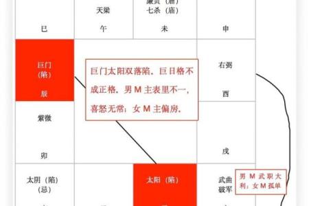 紫微斗数诸星落诸宫之：太阳星兄弟宫详解