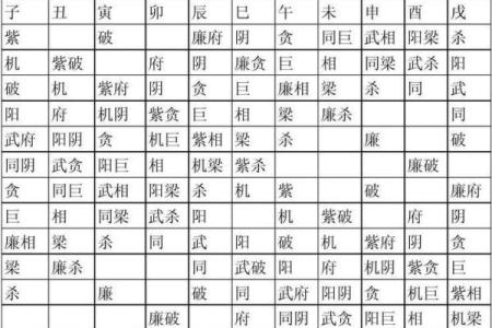紫薇斗数舞曲