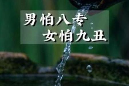 八字八专