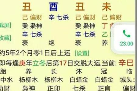 在哪里学八字算命