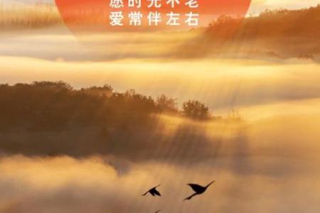 今日重阳：重阳风水，敬老的宜忌