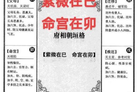 紫薇斗数官方网
