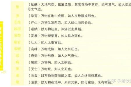 八字地势死绝胎养,八字地势死就会死吗