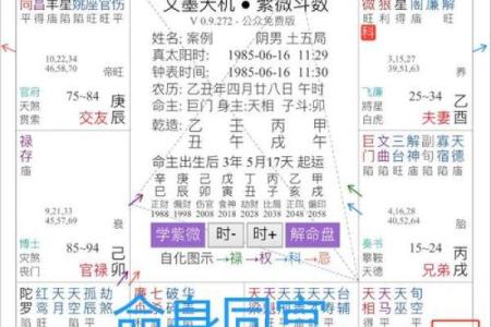 紫薇斗数龙池入命