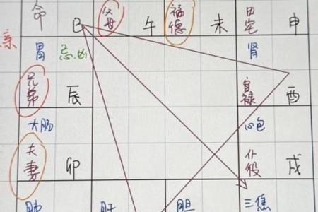 紫微斗数诸星落诸宫之：七杀星兄弟宫详解