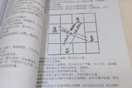 紫薇斗数空白