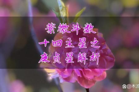 紫微斗数之兄弟宫与诸星,廉贞星在兄弟宫是什么意思？