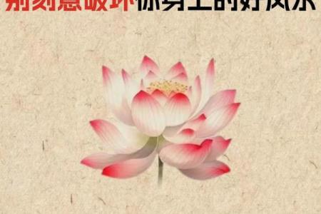 千金不换的风水知识，建议收藏