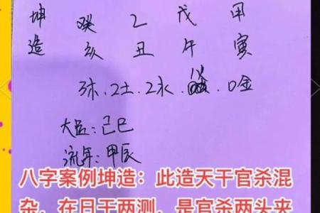 伤官合杀美女八字