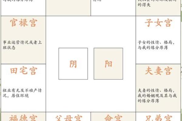 男女都怕入错行！紫薇斗数官禄宫看终身适合的职业