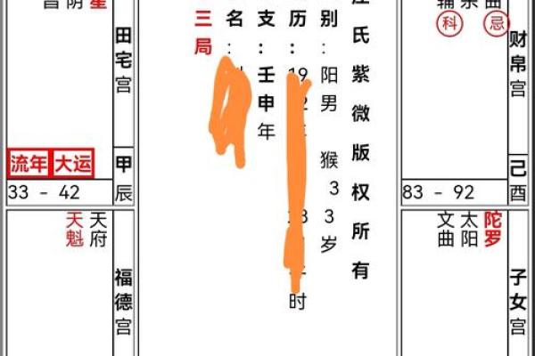 紫薇斗数身宫财帛