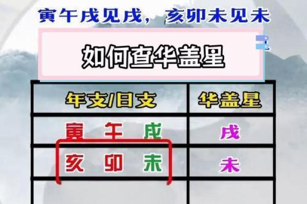 华盖星紫薇斗数