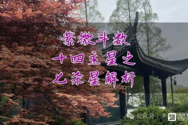 紫微斗数之诸星值限年运气推断:七杀星之年 紫微斗数之诸星值限年运气推断:七杀星之年