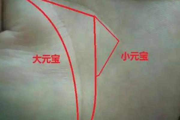 梦到男童给自己看手纹算命