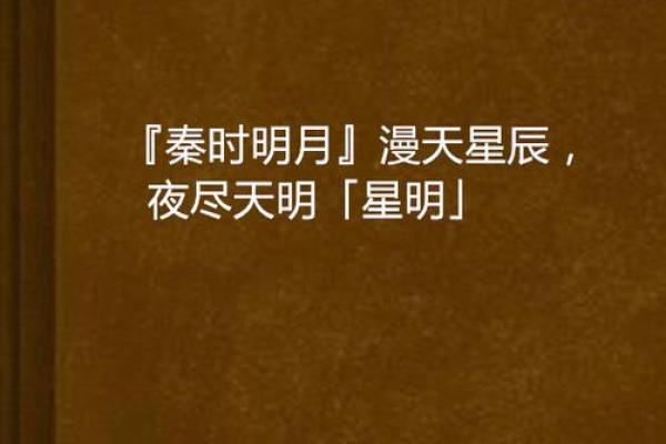 紫薇星明什么意思