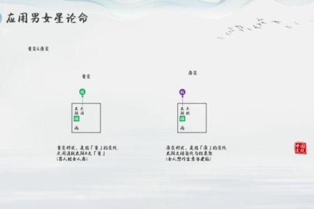 唐艺尹老师谈紫微斗数中的酒色财气命