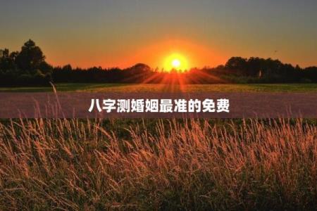 八字测婚姻最准的免费 免费最准的八字测婚姻是真的吗