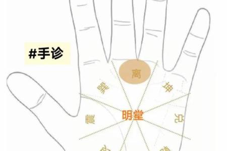 在线扫一扫测手相算命,扫一扫测手相算命免费