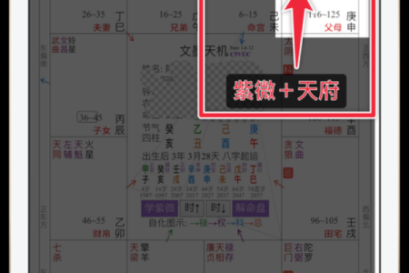 紫薇斗数欧美篇