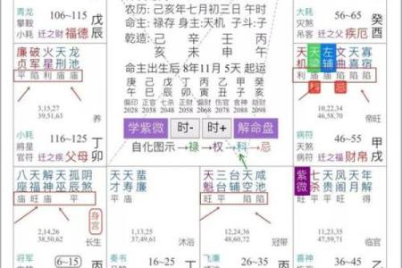 紫微斗数诸星落命宫之：生年博士十二神详解
