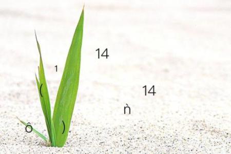 观音灵签51爱情复合