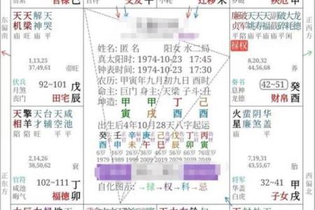 八字-丁火体象