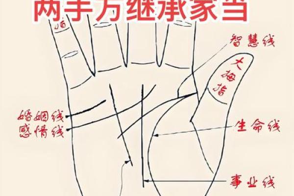 凯帝阿手相算命图解大全01