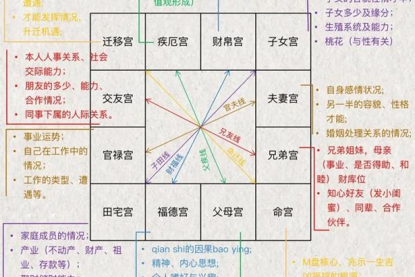 紫薇斗数夫妻宫代表