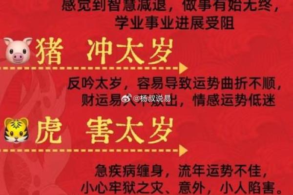 生辰八字生肖
