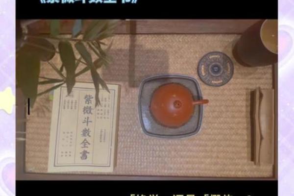 紫薇斗数案例书籍