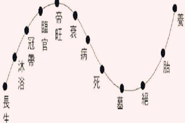 八字衰墓死
