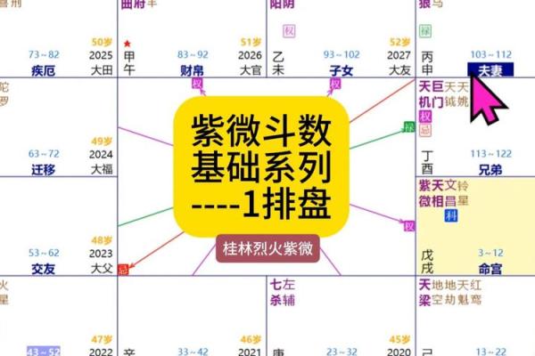 紫薇斗数胡老师