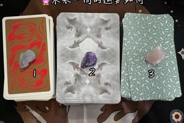 塔罗测试：未来两个月你的学习运势如何