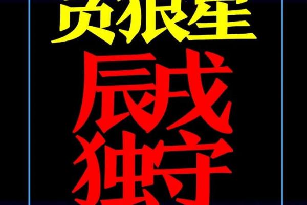 手机免费算命不求人