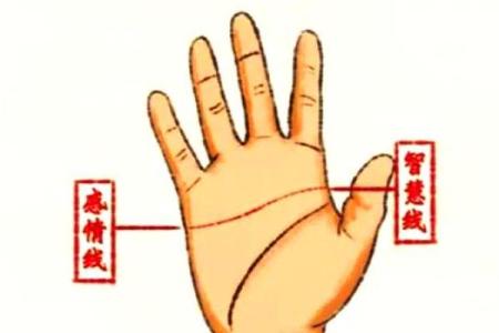 断掌男的手相算命图解 断掌的男人坚强有韧性