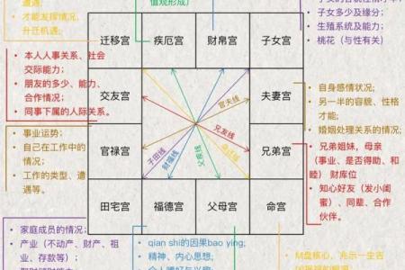 紫薇斗数夫妻宫代表