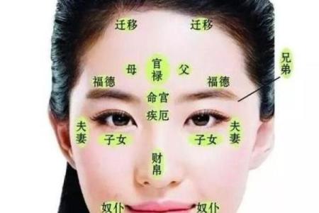 眼皮看面相算命
