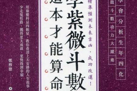易算紫薇斗数